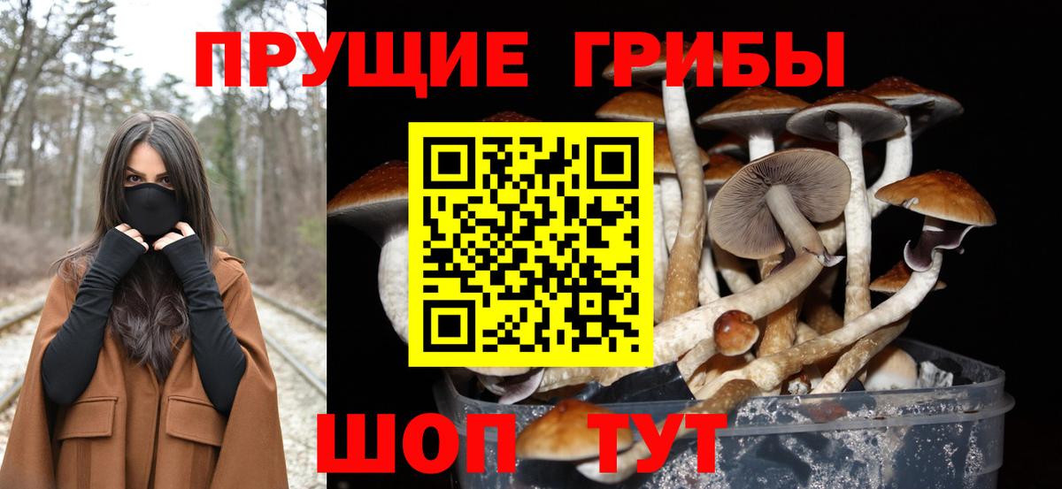 Галлюциногенные грибы MAGIC MUSHROOMS Ноябрьск